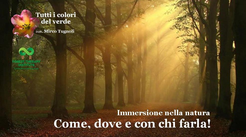 mircotugnoli_fti_3