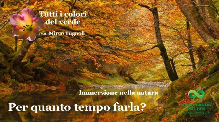 mircotugnoli_fti_4