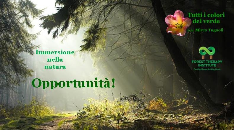 mircotugnoli_fti_6